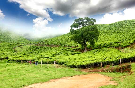 1467872020_2the 3.jpg